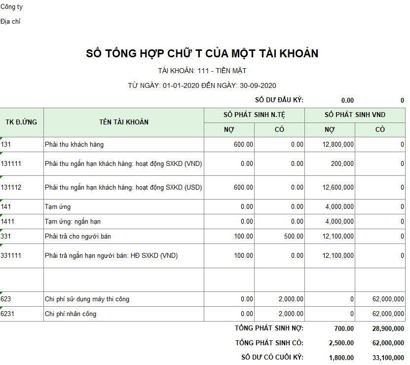 Mẫu sổ tổng hợp chữ T của một tài khoản ( Ngoại tệ )