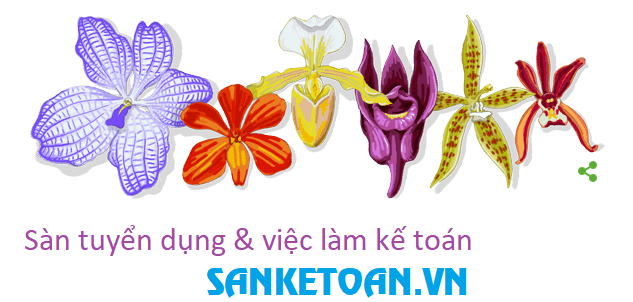Sàn kế toán - Tuyển dụng việc làm kế toán