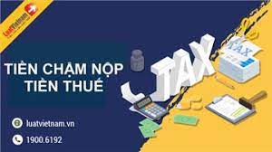 Tiền chậm nộp tiền thuế: Cách tính và trường hợp áp dụng