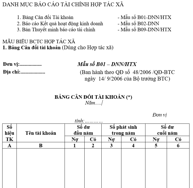 Mẫu Báo cáo tài chính cho Hợp tác xã