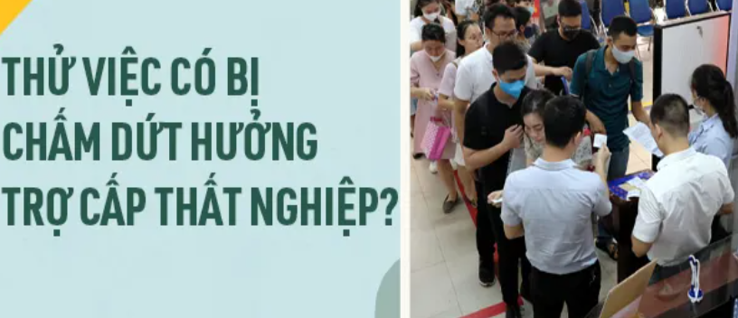 Thử việc có bị chấm dứt hưởng trợ cấp thất nghiệp?