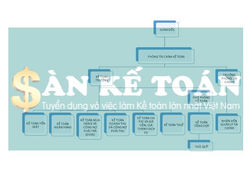 Chi tiết về các mô hình tổ chức bộ máy kế toán trong doanh nghiệp