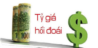 VAS 10 - Ảnh hưởng của việc thay đổi tỷ giá hối đoái